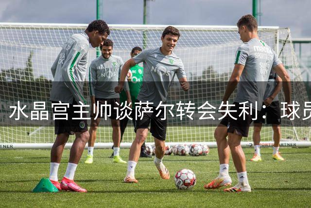 水晶宫主帅谈萨尔转会失利：球员需要时间调整